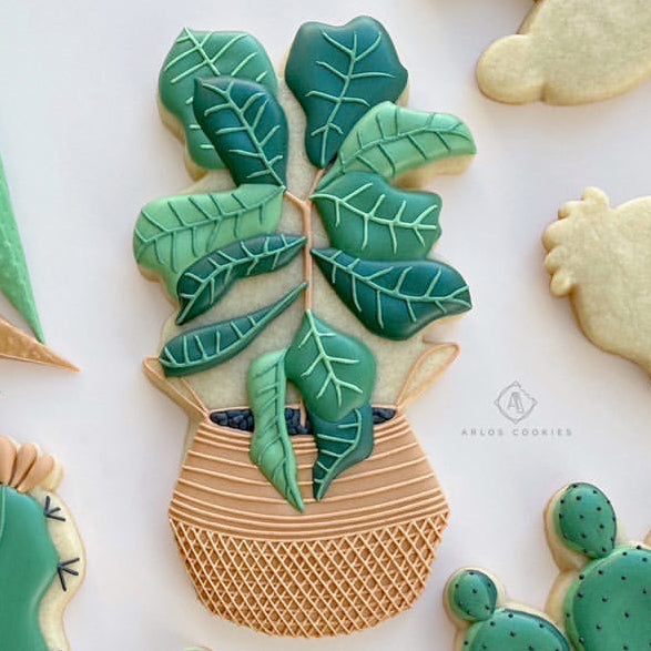 succulent cookie cutters Arlo's Cookies Plant Cookie Cutters (Set #1)