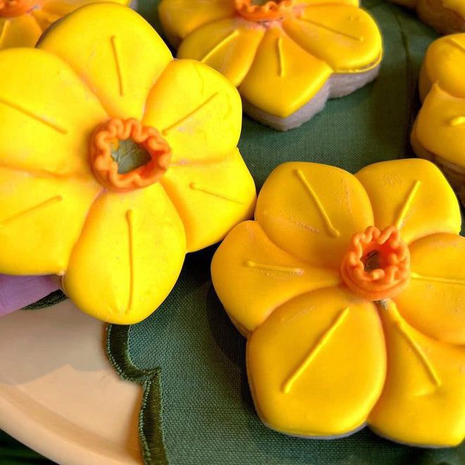 Daffodil Flower Cookie Cutter