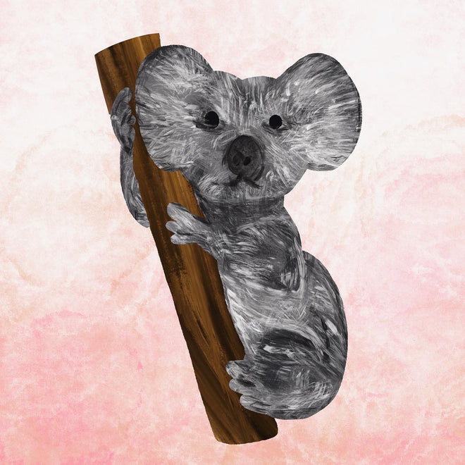 Koala Cookie Cutter