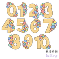 Balloon Garland Numbers