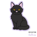 Halloween Cat Cookie Cutter