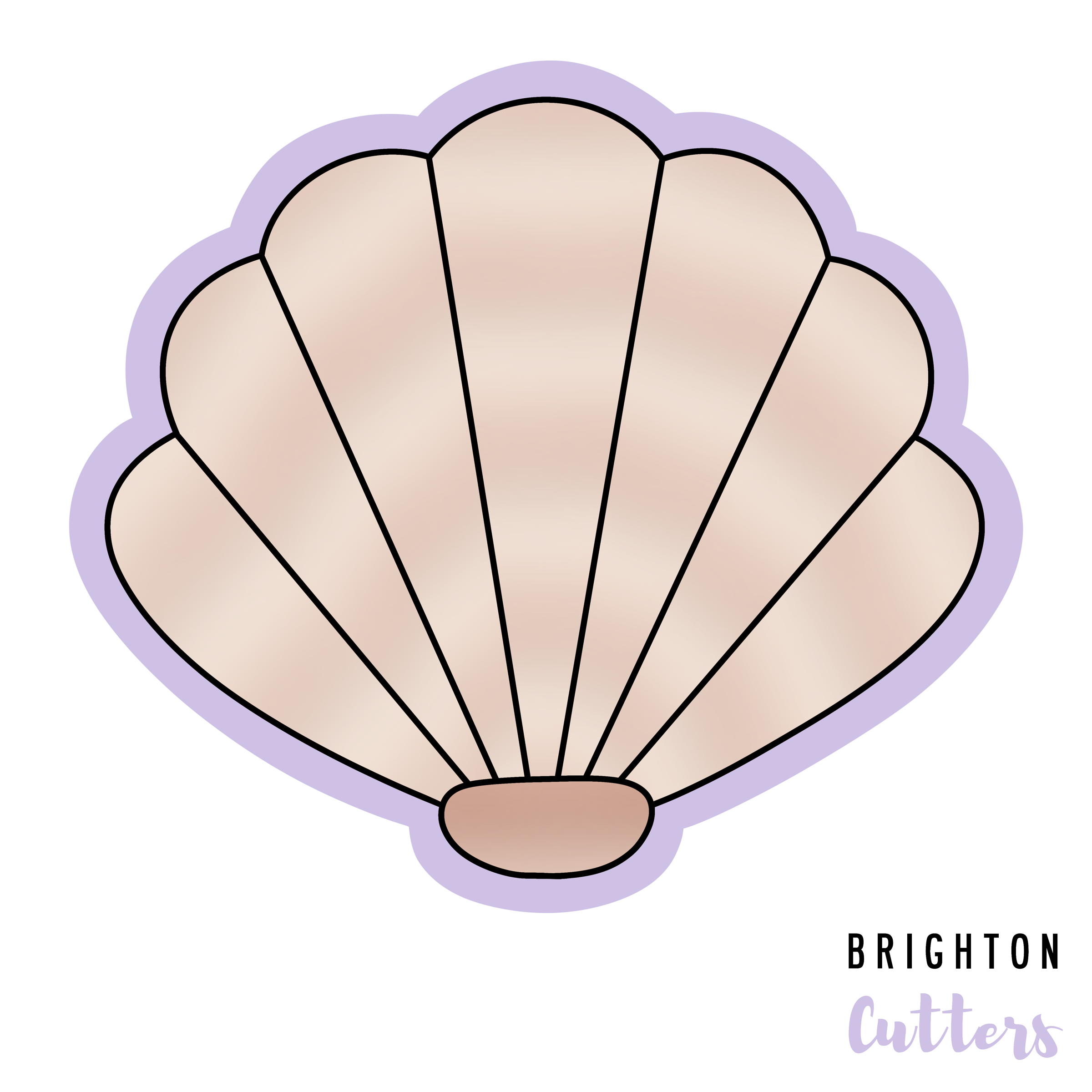 Scallop Shell  Brighton Cutters LLC