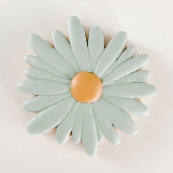 image_7e8fabf1-4d0b-4426-8ae2-