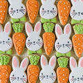 Bunny and Carrot Set